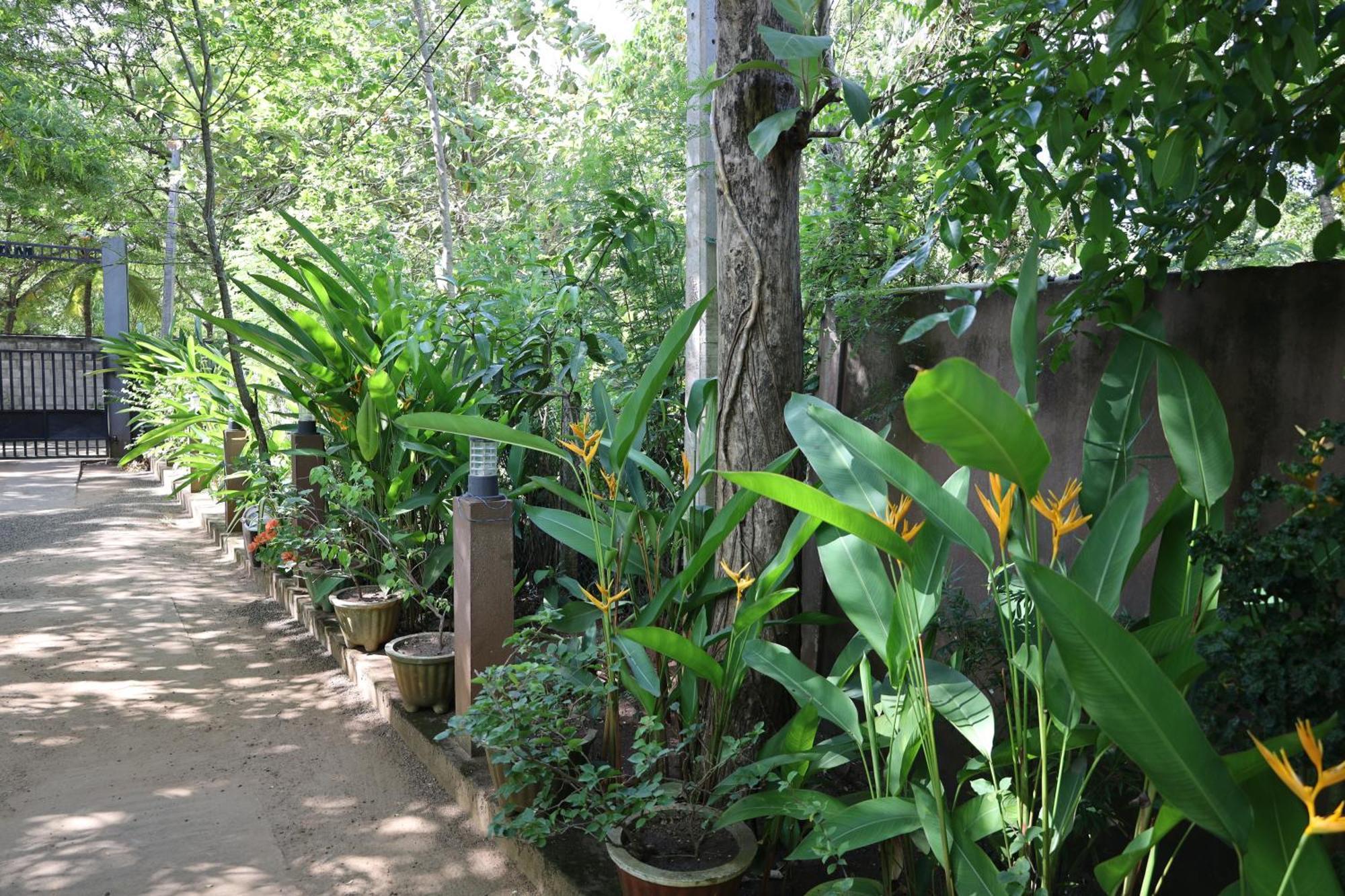 Max Safari Villa Udawalawe Exterior foto